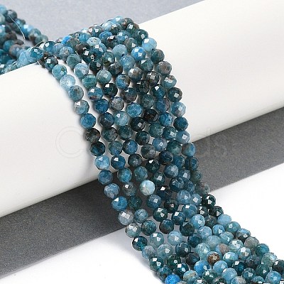 Natural Apatite Beads Strands G-N342-34-1