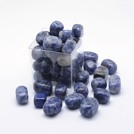 Natural Blue Spot Jasper Beads G-H1462-06-1