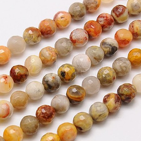 Natural Crazy Lace Agate Beads Strands G-G542-14mm-10-1