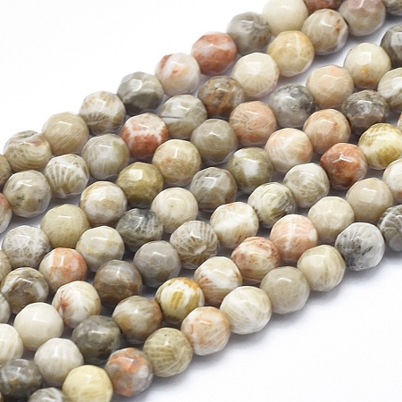 Natural Fossil Coral Beads Strands G-K256-11-4mm-1
