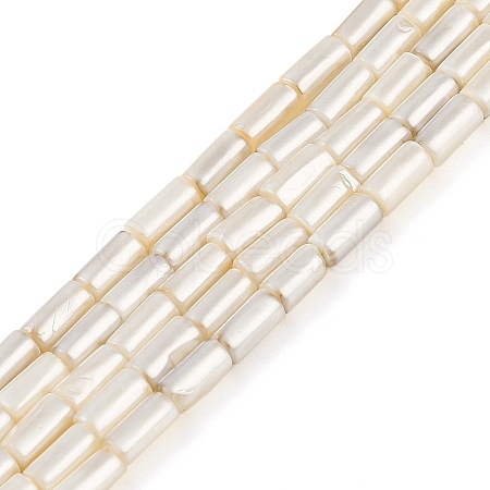 Electroplated Natural Freshwater Shell Beads Strands BSHE-G036-23-1