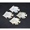 Shell Cabochons, Fish, 34~38x48~52x2~3mm