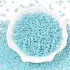 6/0 Transparent Inside Colours Glass Seed Round Beads SEED-N006-004B-2