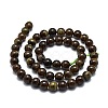 Natural Garnet Beads Strands G-E576-10B-2