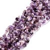 Natural Amethyst Beads Strands G-P332-07-3
