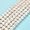 Natural Cultured Freshwater Pearl Beads Strands PEAR-E016-190-2