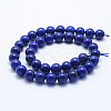 Natural Lapis Lazuli Beads Strands G-P342-01-10mm-AA-2