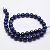 Natural Lapis Lazuli Beads Strands X-G-D840-38-8mm-2