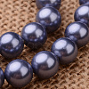 Polished Round Grade A Shell Pearl Bead Strands BSHE-M027-10mm-M-2