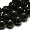 Natural Black Onyx Round Beads Strand X-G-L087-12mm-01-4