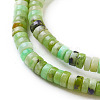 Natural Serpentine Beads Strands G-F576-02-3