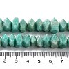 Natural Amazonite Beads Strands G-D091-A20-5