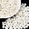 Baking Paint Pearlized Glass Seed Beads SEED-T008-03A-1