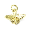 Brass Pendants KK-H475-61G-1