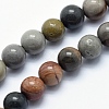 Natural Ocean Agate/Ocean Jasper Beads Strands G-G716-03-6mm-1