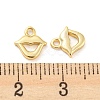 Rack Plating Brass Charms KK-C038-10G-3