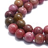 Natural Rhodonite Beads Strands G-K245-A11-03-3