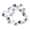 Natural Fluorite Beads Strands G-G116-A01-01-3