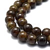 Natural Garnet Beads Strands G-E576-10B-3