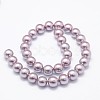 Shell Pearl Beads Strands BSHE-E008-8mm-01-2