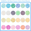   24000Pcs 24 Style Ceylon Glass Seed Beads SEED-PH0001-71-4