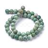 Natural Qinghai Jade Beads Strands G-T055-8mm-16-2