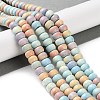 Natural Rainbow Alashan Agate Beads Strands G-NH0022-N01-01-2