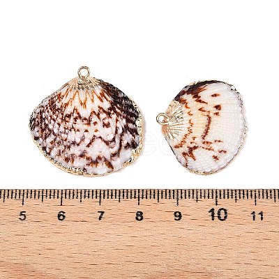 Natural Sea Shell Pendants SSHEL-N038-19-1