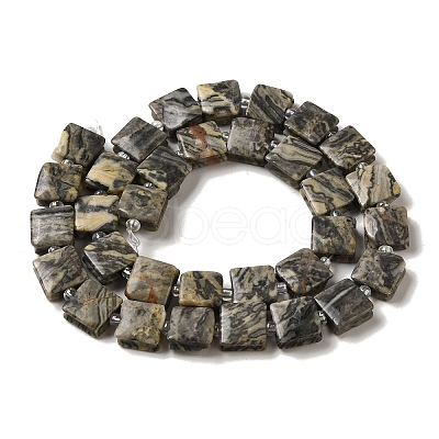 Natural Map Stone Beads Strands G-L596-A03-01-1