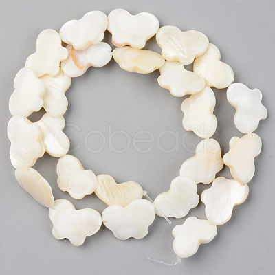 Natural Freshwater Shell Beads Strands X-SHEL-S276-88-1