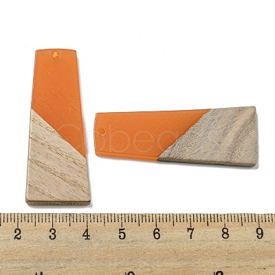 Resin & Walnut Wood Pendants RESI-XCP0002-16A-1