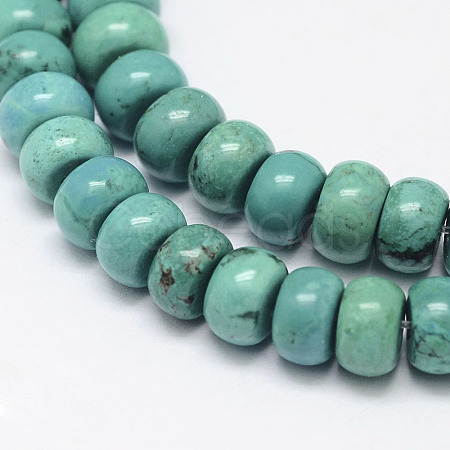 Natural Magnesite Beads Strands TURQ-P027-12-1