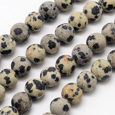 Natural Dalmatian Jasper Beads Strands G-D685-8mm-1