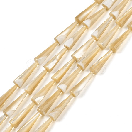 Natural Trochus Shell Beads Strands BSHE-G036-04-1