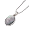 Rack Plating Natural Paua Shell Pendants Necklace, Brass Box Chain Necklaces, Oval, 17.72 inch(45cm), Pendant: 22.5~23x15mm