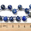 Natural Lapis Lazuli Beads Strands G-H297-B02-02-5