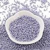 Baking Paint Glass Seed Beads X-SEED-S042-15B-30-2