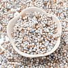 Baking Paint Glass Seed Beads SEED-F005-01A-07-2