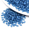 2-Hole Baking Paint Glass Seed Beads X-SEED-S031-M-SH1205FR-1