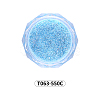 Shining Nail Art Glitter Powder MRMJ-T063-550C-2