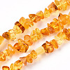 Natural Amber Beads Strands G-T138-235A-1