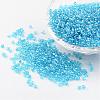 Round Glass Seed Beads X-SEED-A006-2mm-103-1