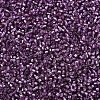 MIYUKI Delica Beads X-SEED-J020-DB2169-3