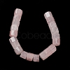 Natural Rose Quartz Beads Strands G-C026-B01-4