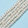 Natural Cultured Freshwater Pearl Beads Strands PEAR-F018-13B-2