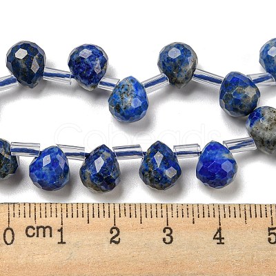 Natural Lapis Lazuli Beads Strands G-H297-B02-02-1