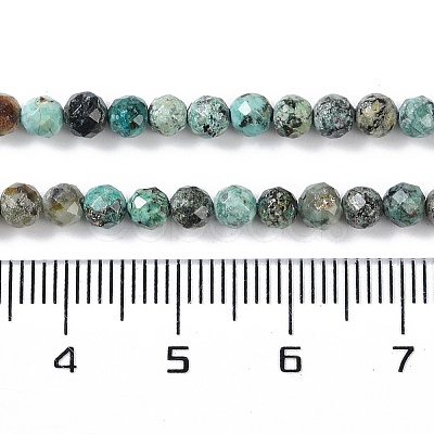 Natural Chrysocolla Beads Strands G-N342-29B-1