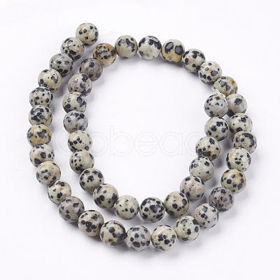 Natural Dalmatian Jasper Stone Bead Strands X-G-R193-14-8mm-1