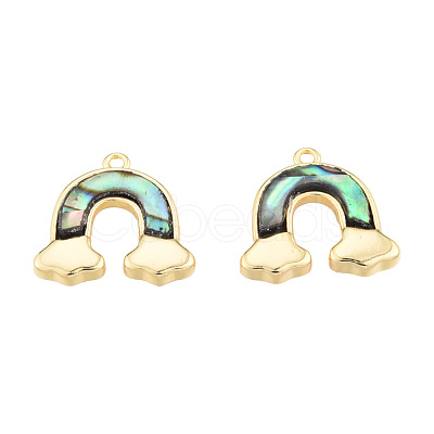 Synthetic Paua Shell Charms KK-N231-385-1