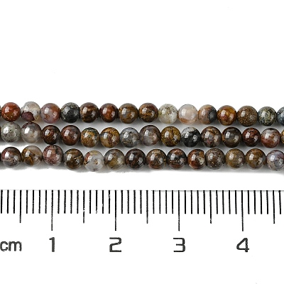 Natural Pietersite Beads Strands G-K365-C03-01-1